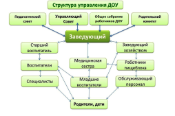 Схема органов управления и структурных подразделений